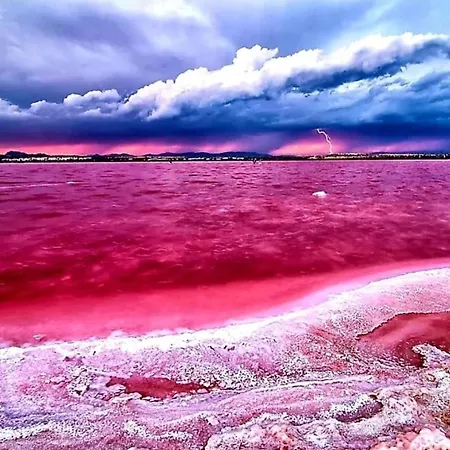 Vista Mar * Τορεβιέχα